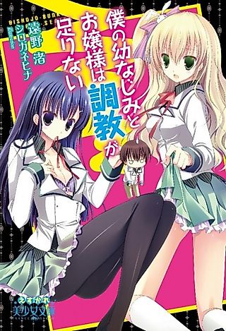 Cover image for the novel called Boku no Osananajimi to Ojousama wa Chuokyou ga Tarinai