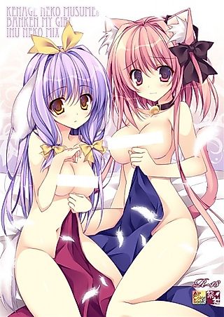 Cover image for the manga called Kenage Neko Musume & Banken My Girl Inuneko Mix