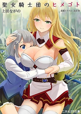 Cover image for the novel called Seijo Kishidan no Himegoto