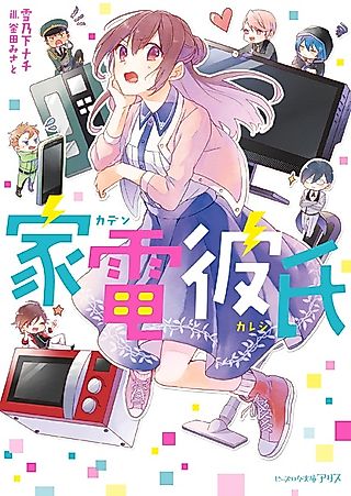 Cover image for the novel called Kaden Kareshi