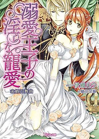 Cover image for the novel called Dekiai Ouji no Midara na Chouai: Kyuukon Enbukyoku