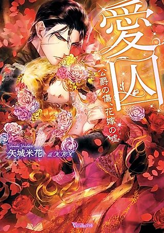Cover image for the novel called Aishuu: Koushaku no Kizu, Hanayome no Uso