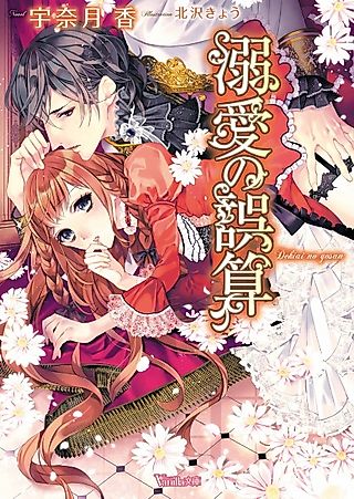 Cover image for the novel called Dekiai no Gosan