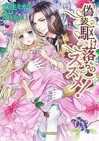 Cover image for the novel called Gisou Kakeochi no Susume!