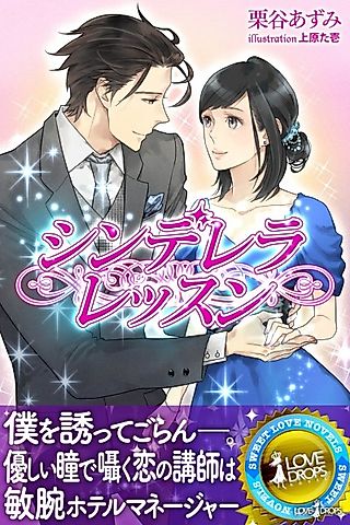 Cover image for the novel called Cinderella Lesson