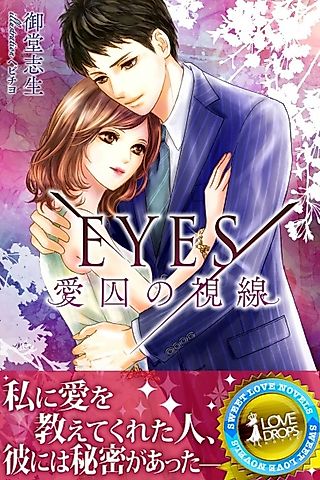 Cover image for the novel called Eyes: Aishuu no Shisen