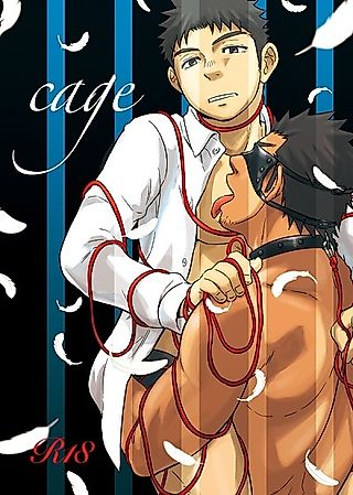 Cover image for the other called cage