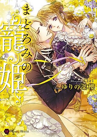 Cover image for the novel called Madoromi no Chouki