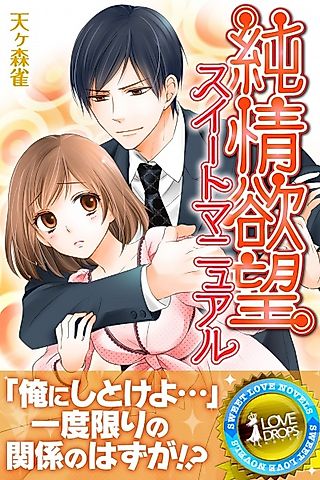 Cover image for the novel called Junjou Yokubou Sweet Manual