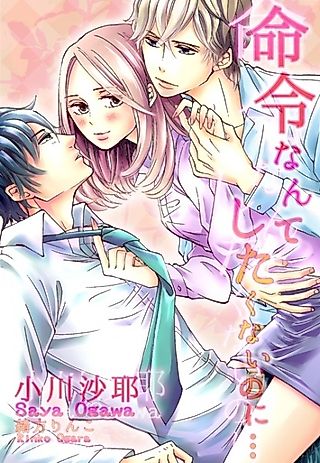Cover image for the novel called Meirei nante Shitakunai no ni...