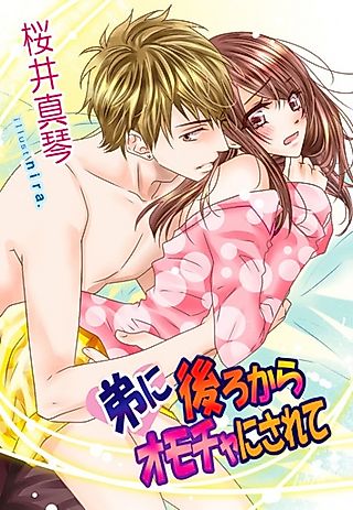 Cover image for the novel called Otouto ni Ushiro kara Omocha ni Sarete
