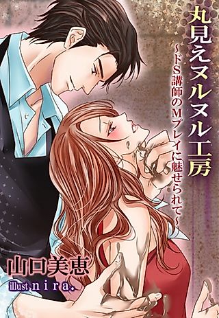 Cover image for the novel called Marumie Nurunuru Koubou: Do S Koushi no M Play ni Miserarete