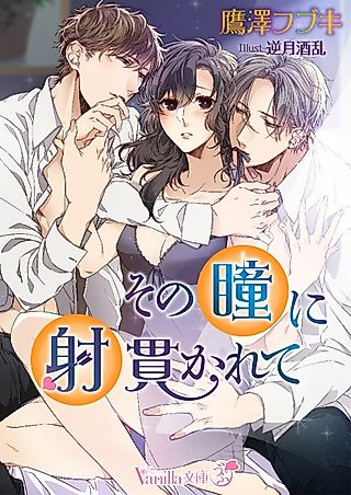 Cover image for the novel called Sono Hitomi ni Inukarete
