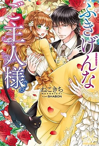 Cover image for the novel called Fukigen na Goshujinsama