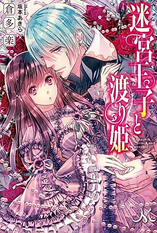Cover image for the novel called Labyrinth prince and princess