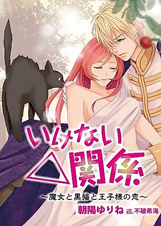 Cover image for the novel called Ikenai△Kankei: Majo to Kuroneko to Oujisama no Koi