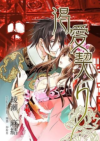 Cover image for the novel called Katsuai Chigiri