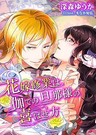 Cover image for the novel called Hanayome Shuugyou wa, Togi de no Dannasama no Yorokobasekata