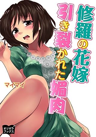 Cover image for the novel called Shura no Hanayome: Hikisakareta Biniku