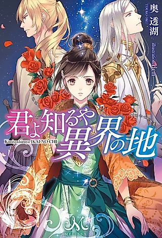 Cover image for the novel called Kimi yo Shiruya Ikai no Chi