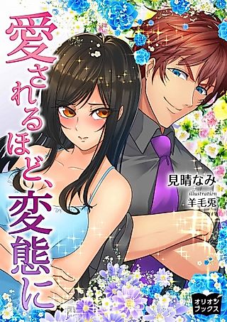 Cover image for the novel called Aisareru Hodo, Hentai ni
