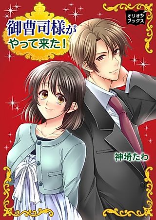 Cover image for the novel called Onzoushi-sama ga Yattekita!