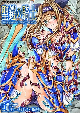 Cover image for the novel called The Knight in Holy Armor