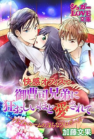 Cover image for the novel called Kaikan Office de Onzoushi Kyoudai ni Kuruoshii hodo Aisarete: Triple Room no Midara na Proposal