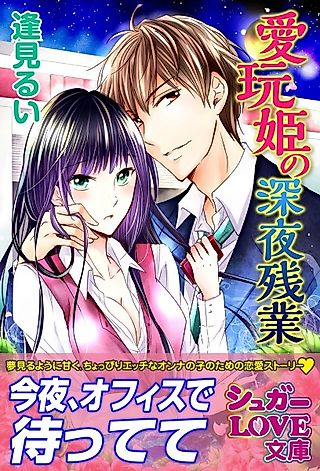 Cover image for the novel called Aigan-hime no Shinya Zangyou