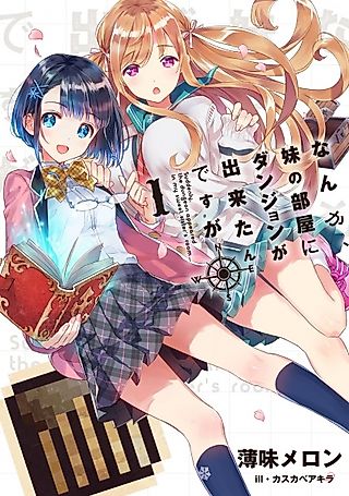 Cover image for the novel called Suddenly, the dungeon appeared in my sweet sister's room...
