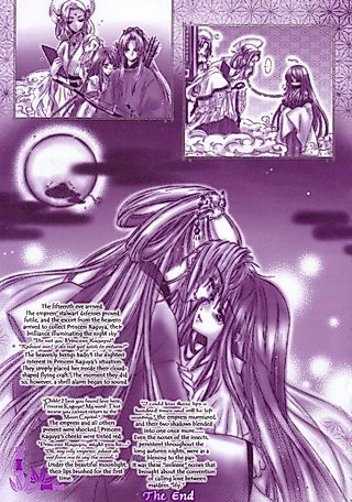 Cover image for the other called Princess Kaguya