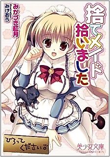 Cover image for the novel called Sute Maid Hiroimashita
