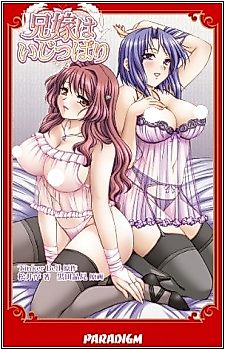 Cover image for the novel called Aniyome wa Ijippari