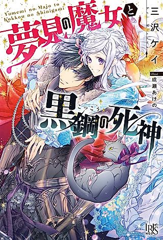 Cover image for the novel called Yumemi no Majo to Kokkou no Shinigami