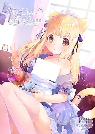 Cover image for the other called My Little Maid