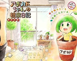 Cover image for the other called Avocado-chan's Observation Diary