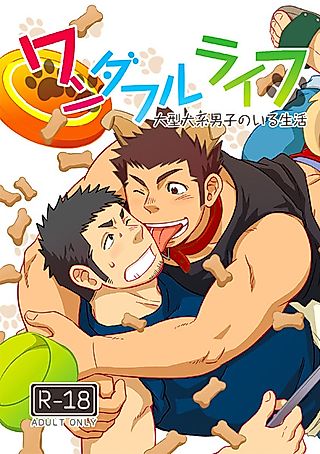 Cover image for the other called Wonderful Life: Oogataken-kei Danshi no Iru Seikatsu