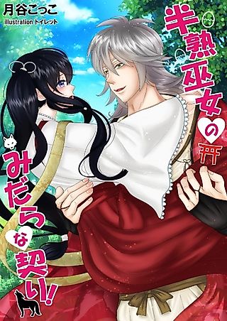 Cover image for the novel called Hanjuku Miko no Midara na Chigiri!