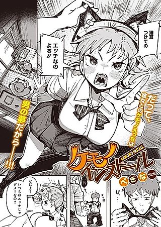 Cover image for the other called Kemono Install