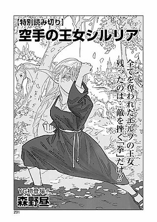 Cover image for the other called Karate no Oujo Siluria