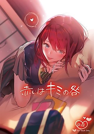 Cover image for the other called Akai wa Kimi no Toga