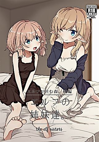 Cover image for the other called The Elf Sisters
