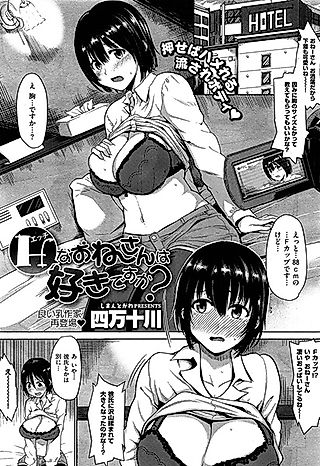 Cover image for the other called H na Oneesan wa Suki desu ka?