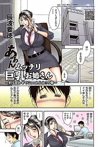 Cover image for the manga called Hmmm My Older Sister's Big and Plump Tits: Good Job at the Meeting!