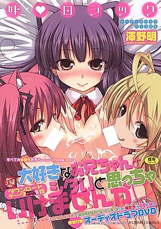 Cover image for the manga called Shiro Kuro Lover Valentine-hen