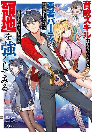 Cover image for the novel called From Leveling Up the Hero to Leveling Up a Nation