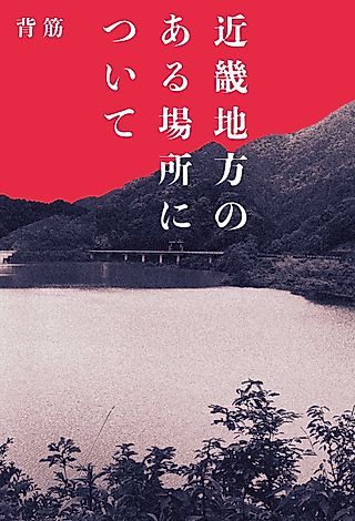 Cover image for the novel called About a Place in the Kinki Region