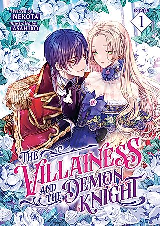Cover image for the novel called The Villainess and the Demon Knight