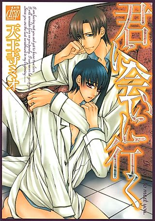 Cover image for the manga called Meeting You