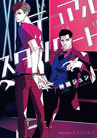 Cover image for the novel called Dual Standard